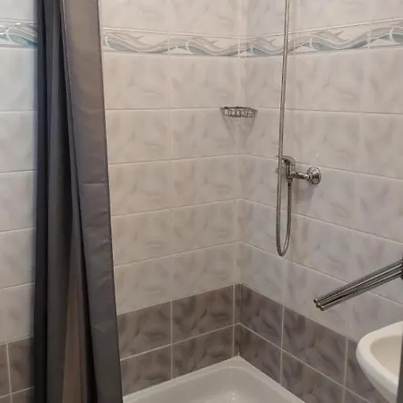 Ludika Vendeghaz באלאטונפורד